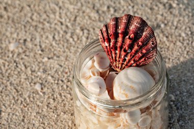 Kabukları kum plaj, tropikal manzara cam kavanozda