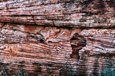 Organik doku ve Vintage tarzı tasarım için arka plan