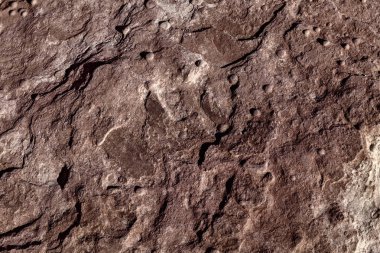 Organik Hard Rock doku ve arka plan