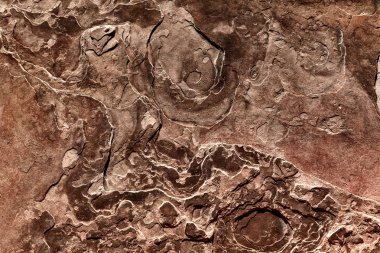 Kahverengi organik Rock doku ve arka plan