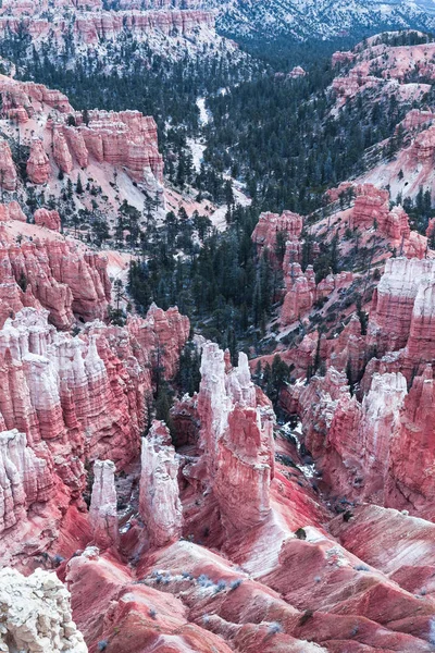 Bryce Canyon sziklák rózsaszín hangot, Amerikai Egyesült Államok — Stock Fotó