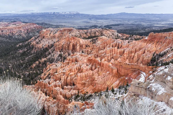 Vista elevada del paisaje del cañón de Bryce, Estados Unidos — Foto de Stock