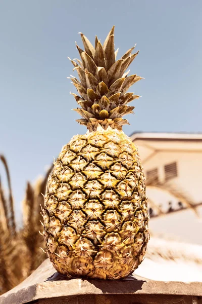 Fruto Abacaxi Dourado Fundo Céu Conceito Criativo — Fotografia de Stock