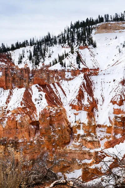 Mañana Invierno Rocas Hoodoo Parque Nacional Bryce Canyon Estado Utah — Foto de Stock