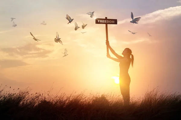 Woman holds a sign with word freedom and flying birds on sunset — Stock Photo, Image