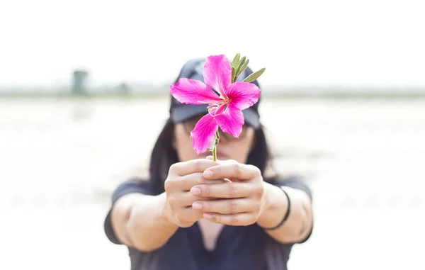 Flor rosa nas mãos da mulher, fundo rural — Fotografia de Stock