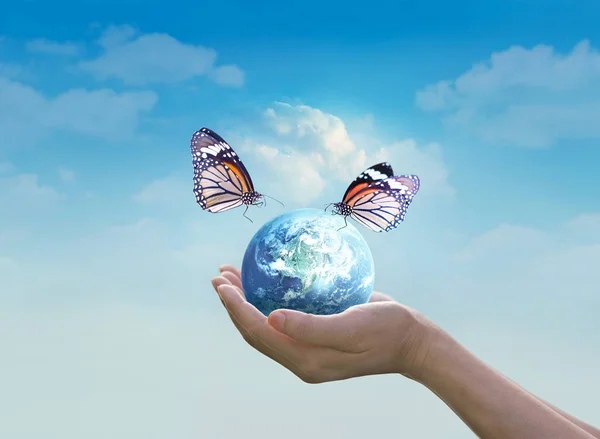 Mulher segurando planeta terra com borboleta nas mãos em terra azul limpo — Fotografia de Stock