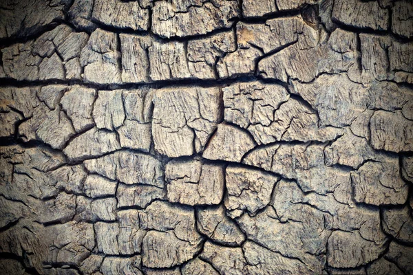 Holz Riss Textur Hintergrund — Stockfoto