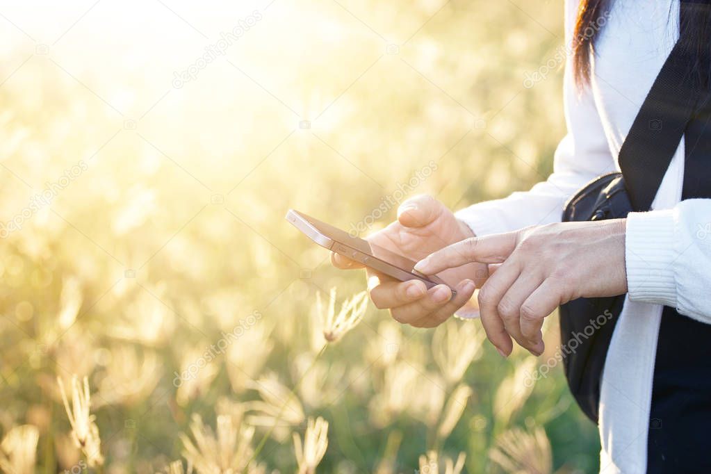woman using smartphone in field grass on sunset background