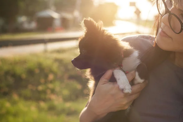 Mulher com cão ao ar livre por do sol fundo — Fotografia de Stock