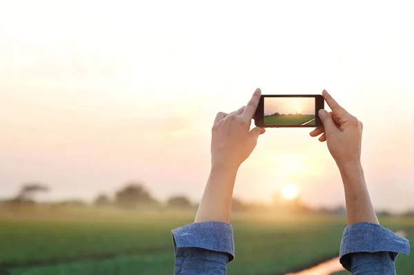 Woman take photo rural prairie in sunset, relax time