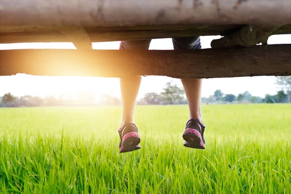 As pernas da mulher relaxante, apreciar a vista do campo de arrozal verde — Fotografia de Stock