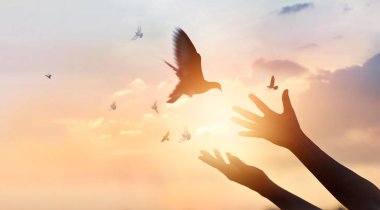 Woman praying and free the birds flying on sunset background clipart