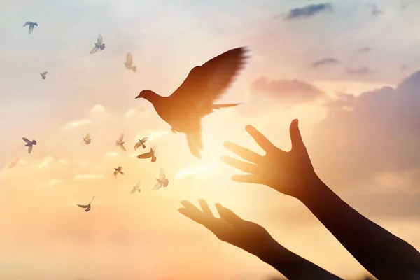 Mujer rezando y liberando a los pájaros volando sobre el fondo del atardecer — Foto de Stock