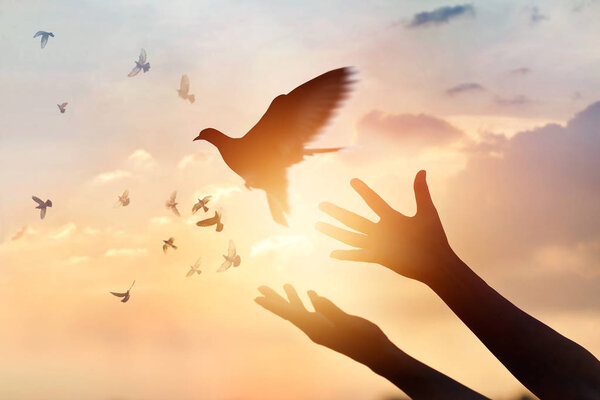 Woman praying and free the birds flying on sunset background