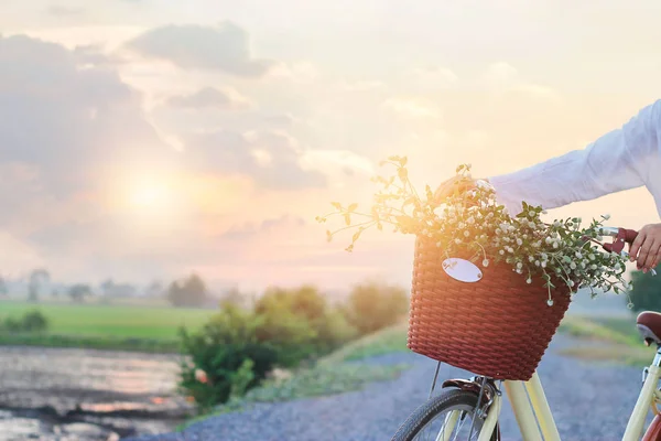 Donna con bicicletta vintage piena di fiori nel cestino al tramonto — Foto Stock