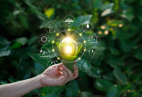 Hand holding light bulb against nature on green leaf with icons energy resources — Stock Photo, Image