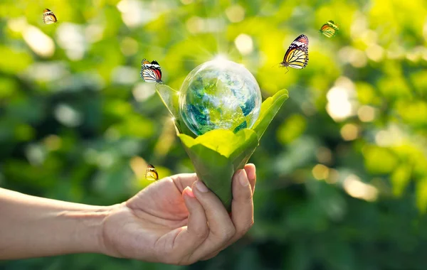 Saving energy concept, Earth day, Hand holding earth in light bulb — Stock Photo, Image