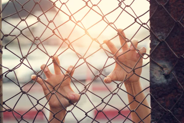Handen van een vrouw ontsnappen op mesh kooi. — Stockfoto