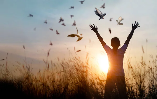 Mulher orando e pássaro livre desfrutando da natureza no pôr do sol fundo — Fotografia de Stock