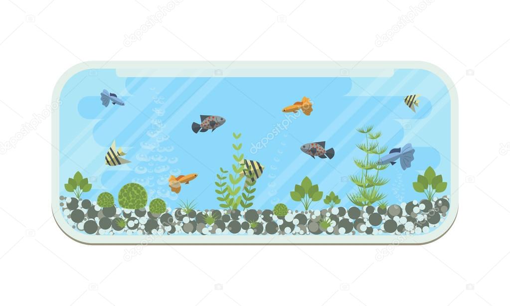 Clipart: fish tank | Cartoon vector home aquarium illustration with