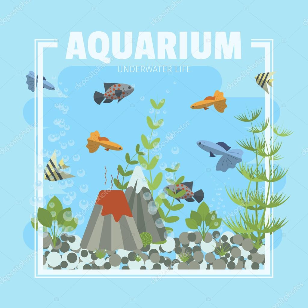 Clipart: aquarium | Cartoon vector home aquarium illustration with