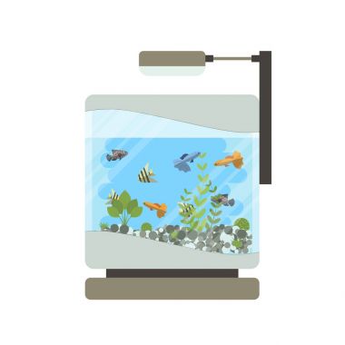Çizgi film vektör ev akvaryum çizim ile su, bitki ve balık.