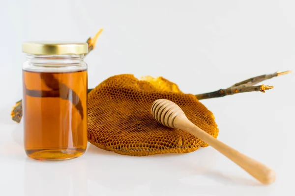 Honey with Honeycomb — Zdjęcie stockowe