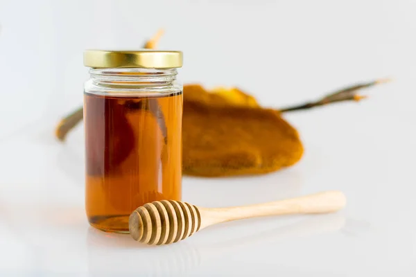 Honung med honeycomb — Stockfoto