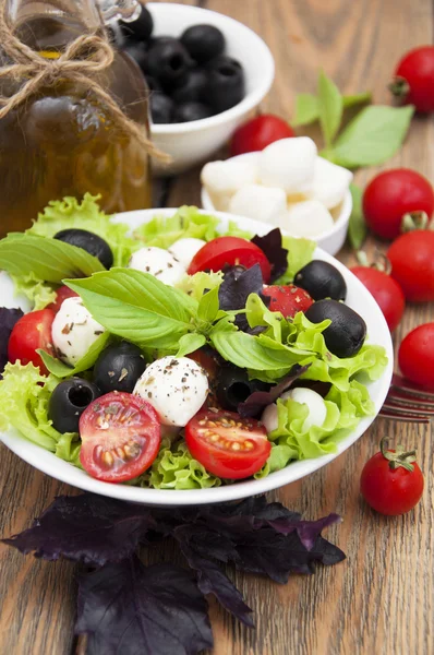 Salad with mozzarella — Stock Photo, Image