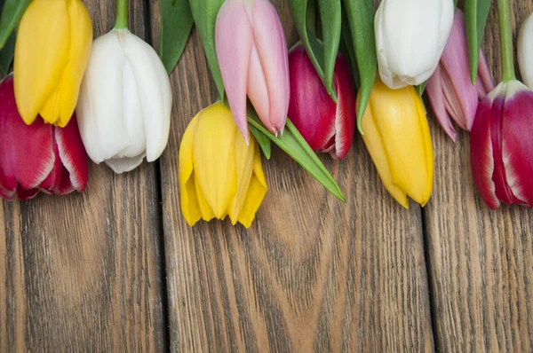 Kwiatów tulipany — Zdjęcie stockowe