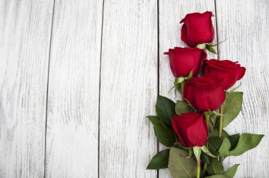 güzel kırmızı gül