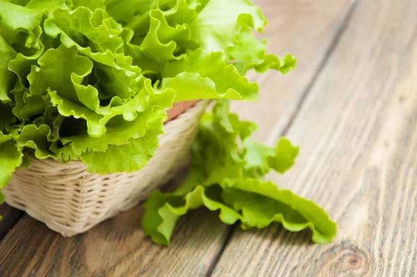 Salada — Fotografia de Stock