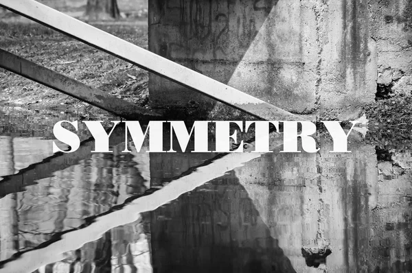 La simetría en la naturaleza — Foto de Stock