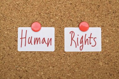 Metin insan hakları