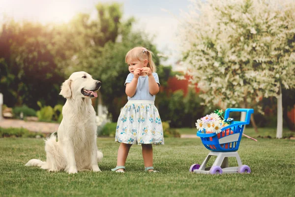 Pequeña linda chica jugando con el perro grande — Foto de Stock