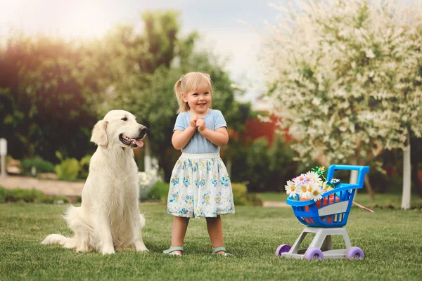 Petite fille mignonne jouant avec un gros chien — Photo