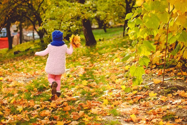 Petite fille jouant avec des feuilles d'automne dans le parc — Photo