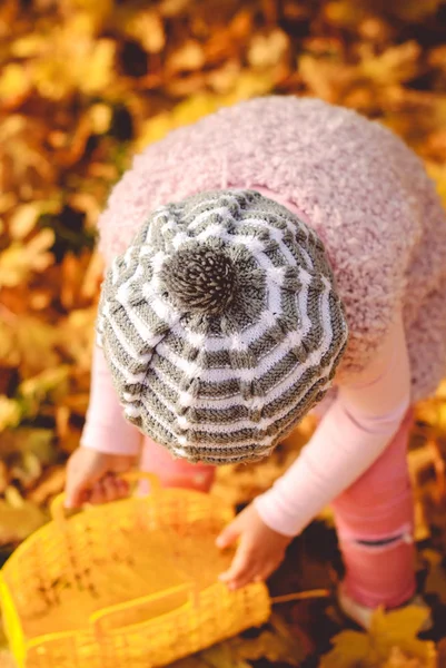 Klein meisje spelen met herfst bladeren in het park Stockfoto