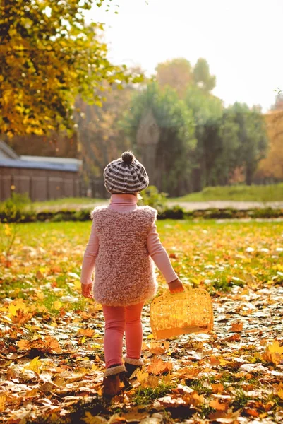 Klein meisje spelen met Herfstbladeren Stockfoto