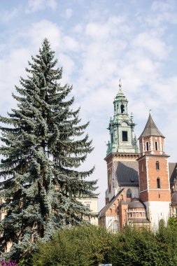 Sigismund kilisede Wawel (Krakow, Polonya)