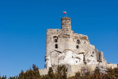14. yüzyılda MIRW kalede Niegowa topluluk (Polonya kalıntıları)