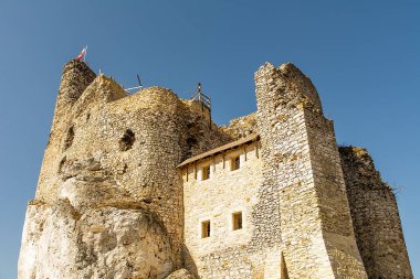 14. yüzyılda MIRW kalede Niegowa topluluk (Polonya kalıntıları)