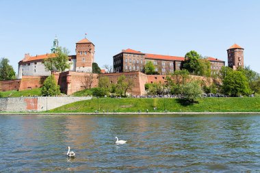Krakow (Polonya Wawel Royal Castle)