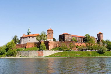 Krakow (Polonya Wawel Royal Castle)