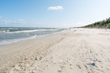 Karwia sahilinde turist (Polonya)