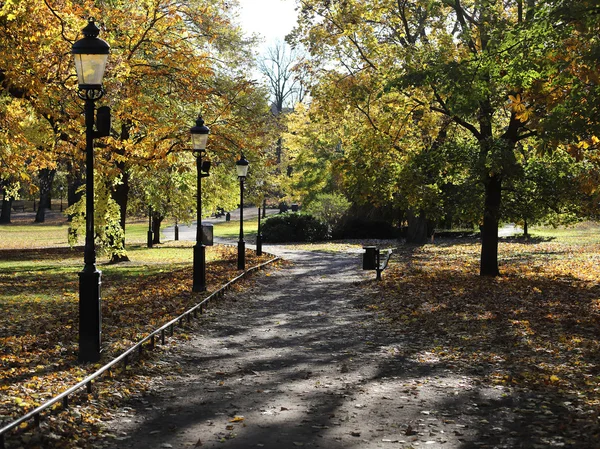 Park way, lampposts and lime trees during autumn — Stock Photo, Image