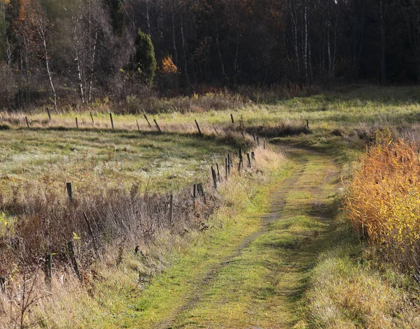 草地上拖拉机使用的乡村弯曲的小道 — 图库照片