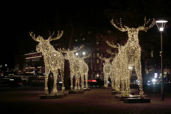 Christmas moose herd made of led light — Stock Photo, Image