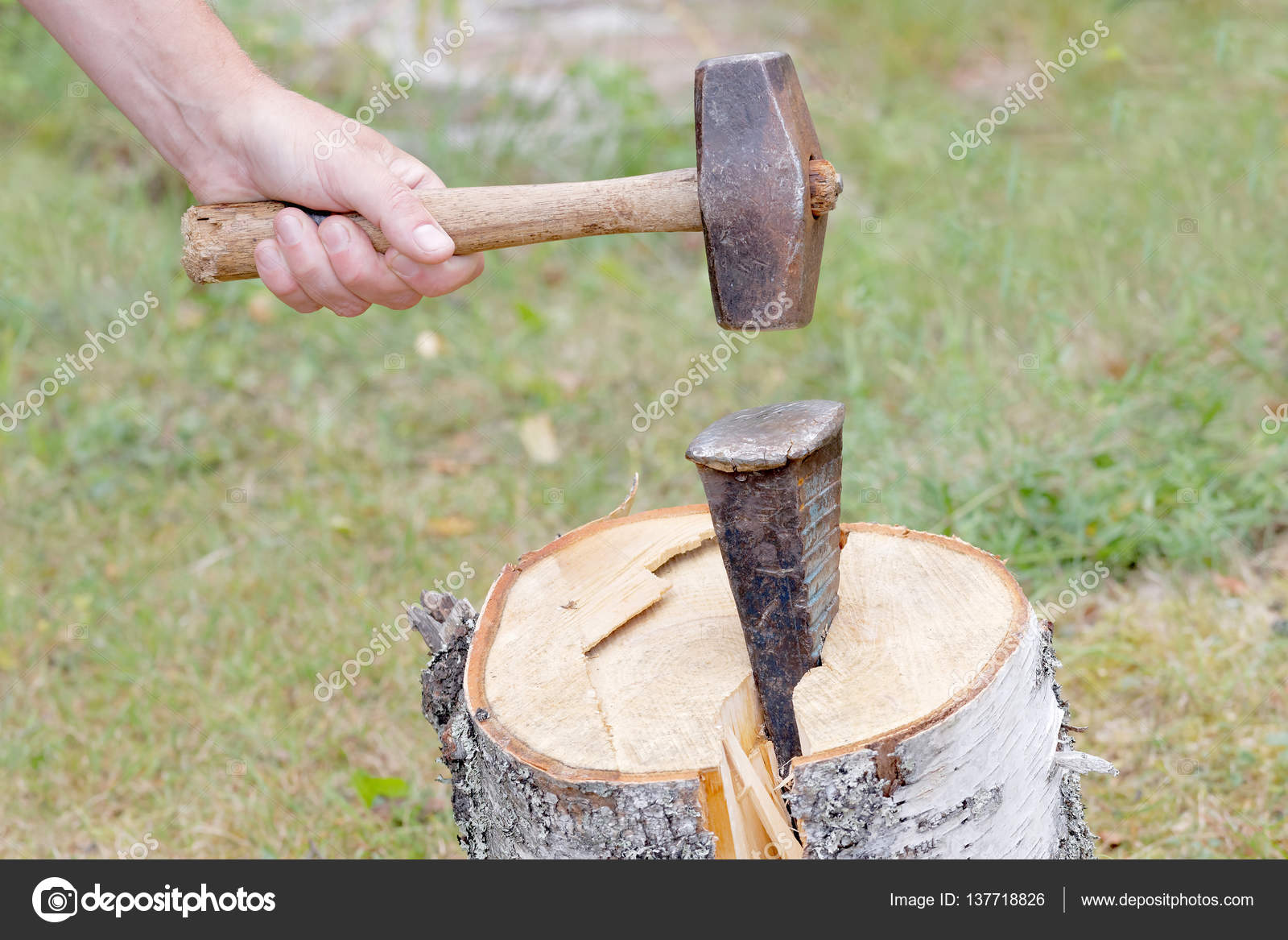 Sledge hammer log on sale splitter